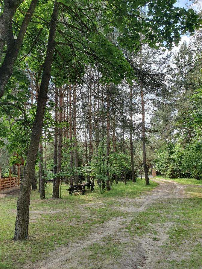 Вілла Roztocze U Aleksa Susiec - Jacuzii , Goraca Balia!!! Екстер'єр фото